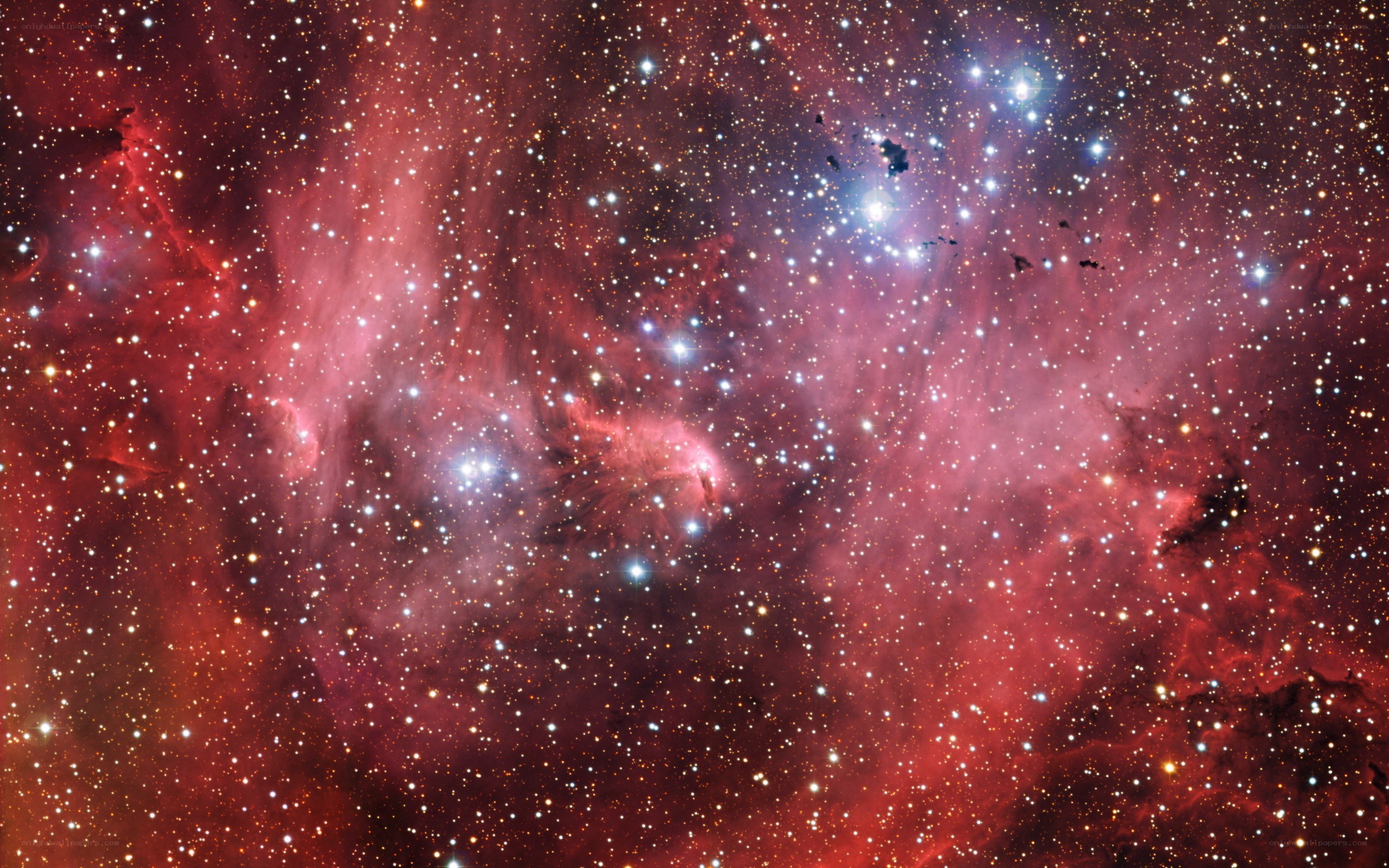 Stellar nursery in Orion
