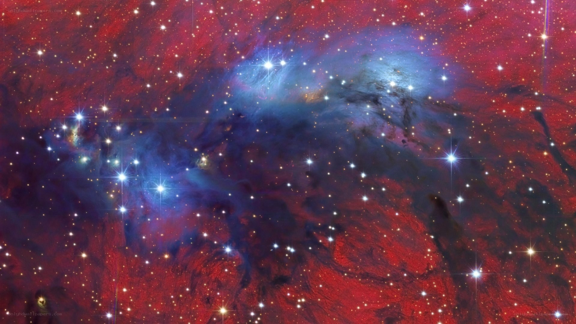 Stellar nursery in Orion