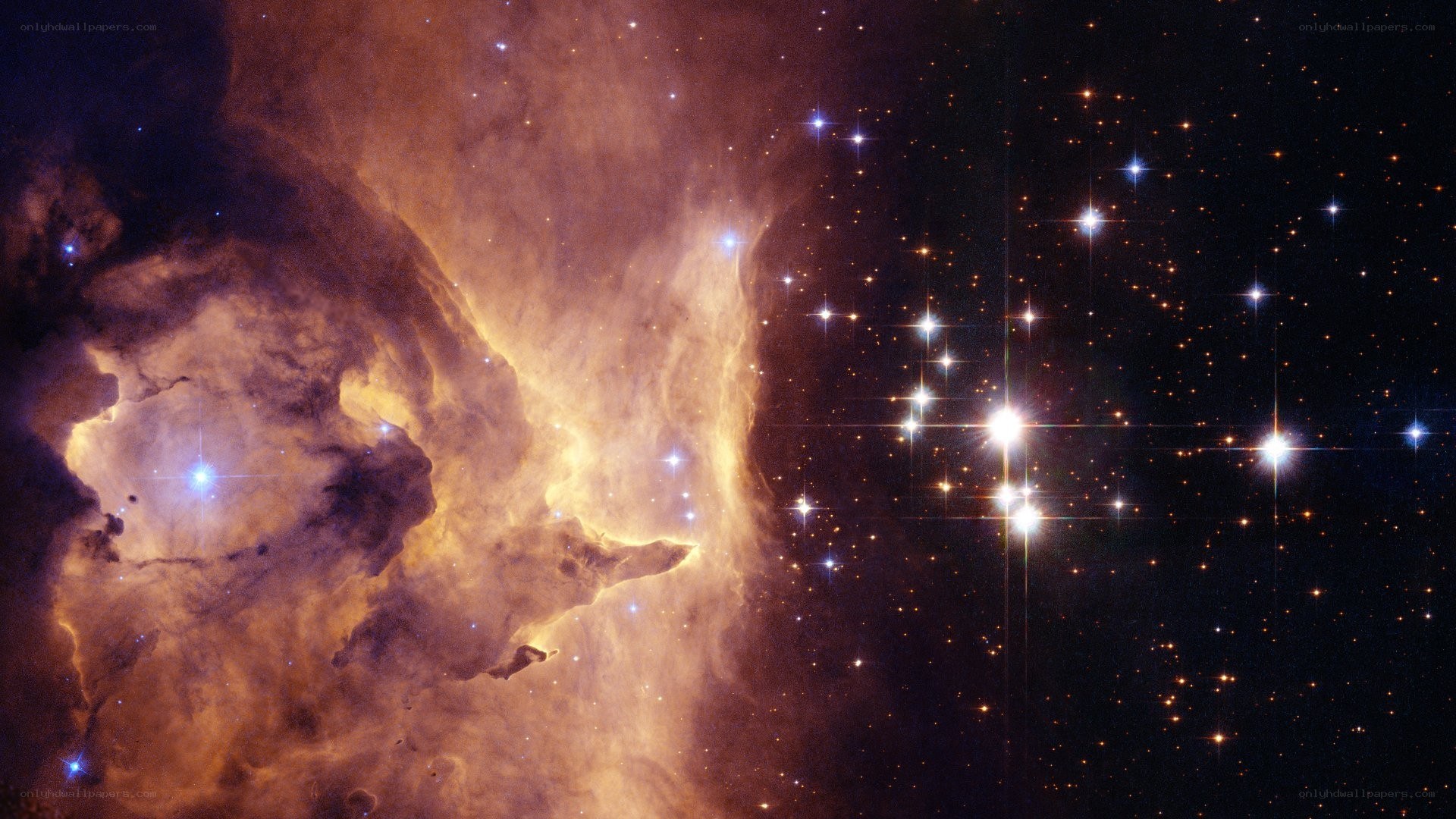 Stellar nursery in Orion