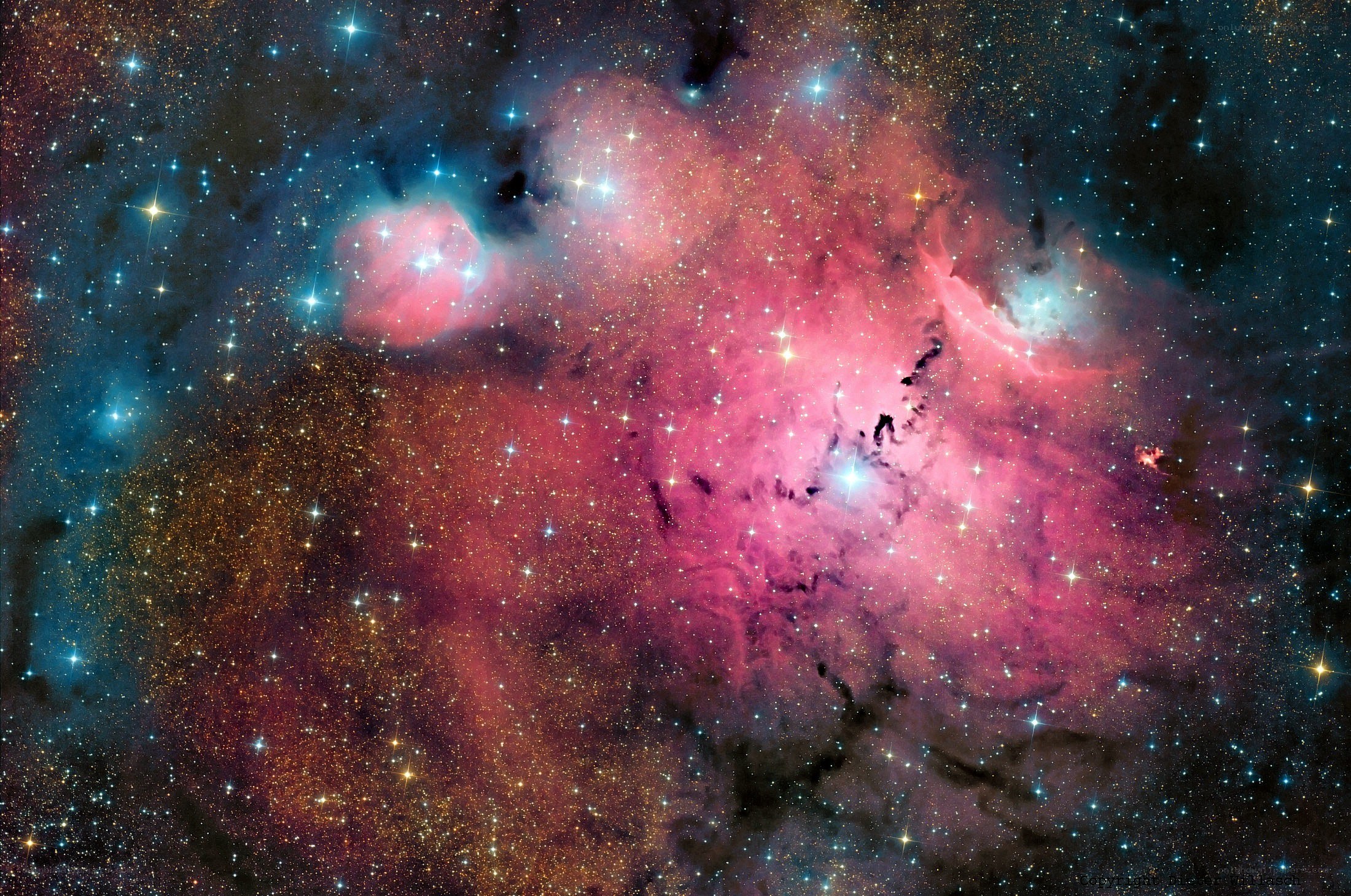 Stellar nursery in Orion