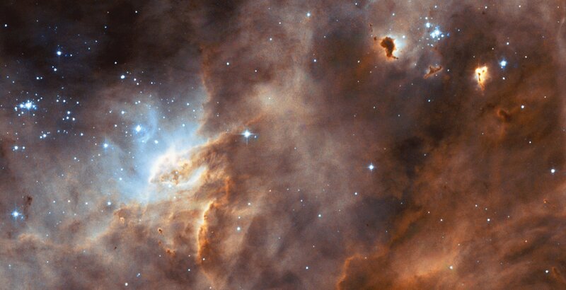 Stellar nursery in Orion
