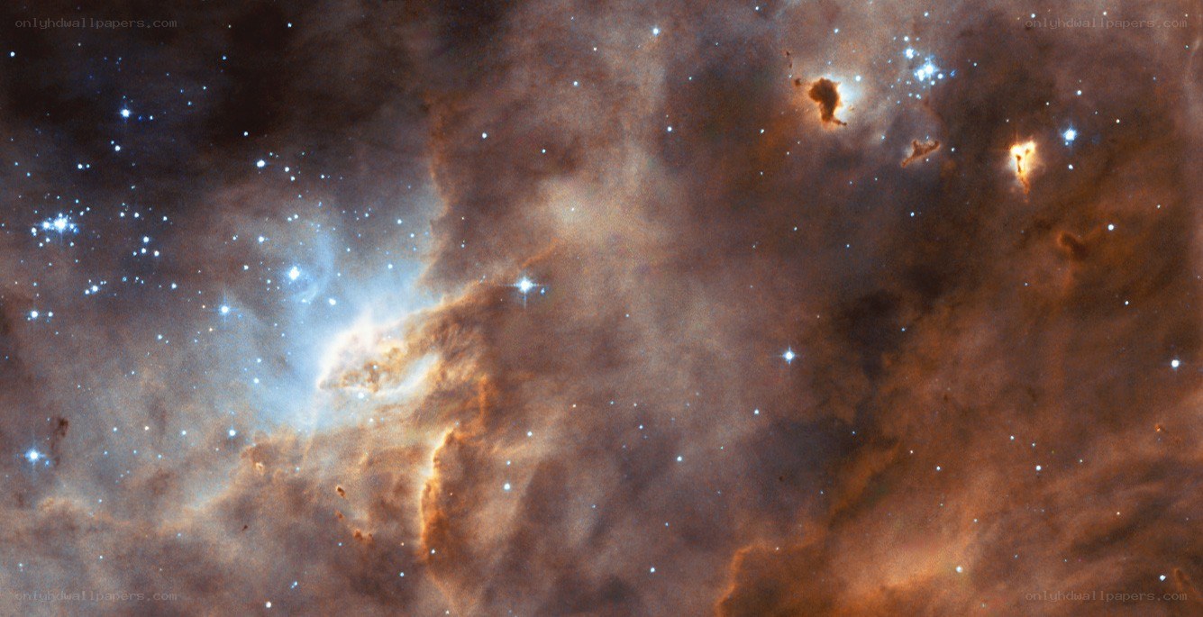 Stellar nursery in Orion