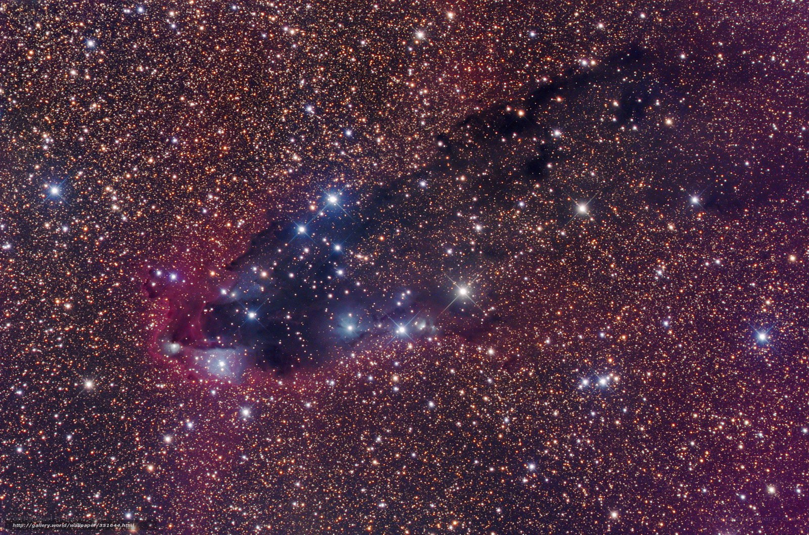 Stellar nursery in Orion