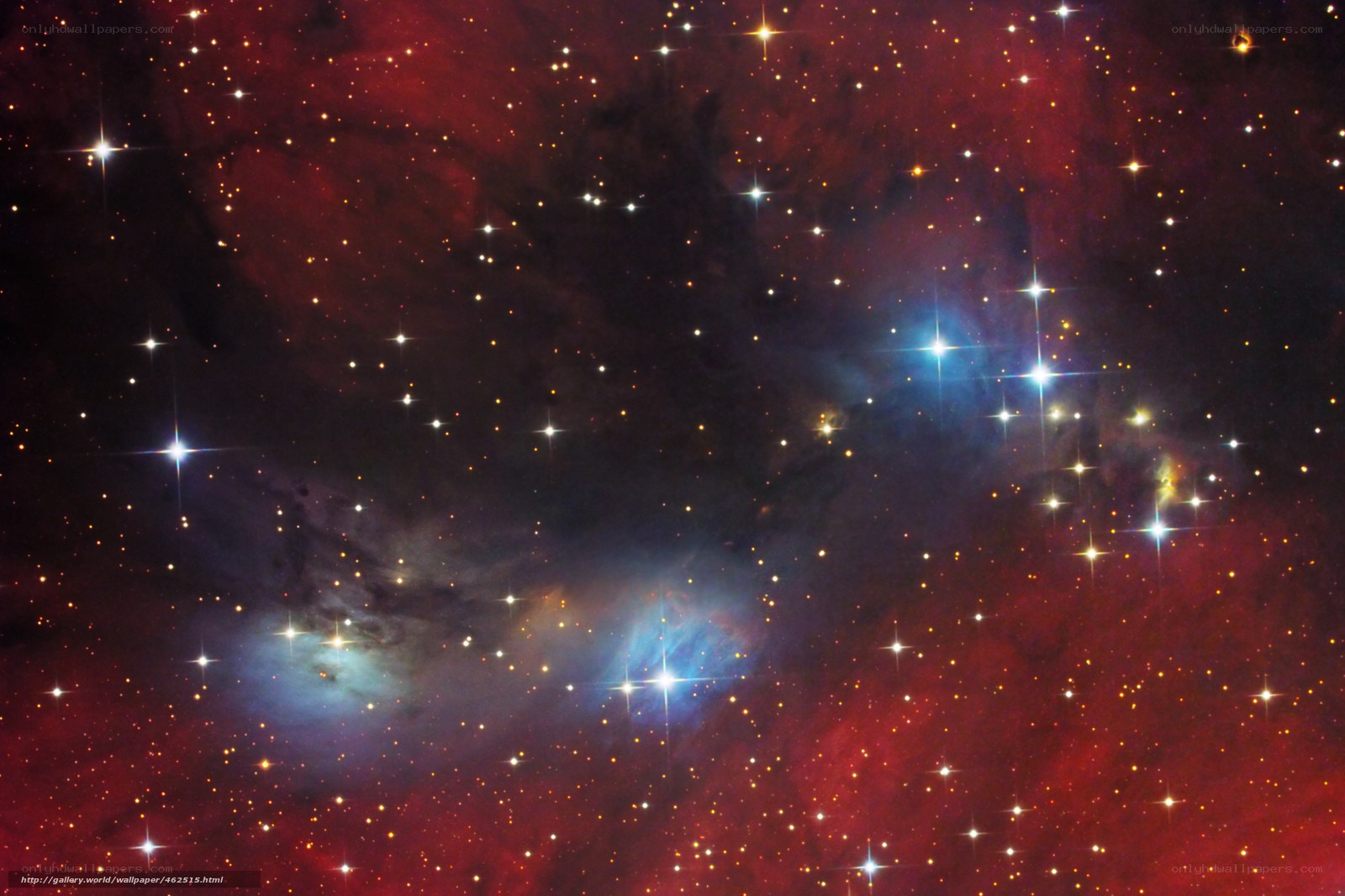 Stellar nursery in Orion