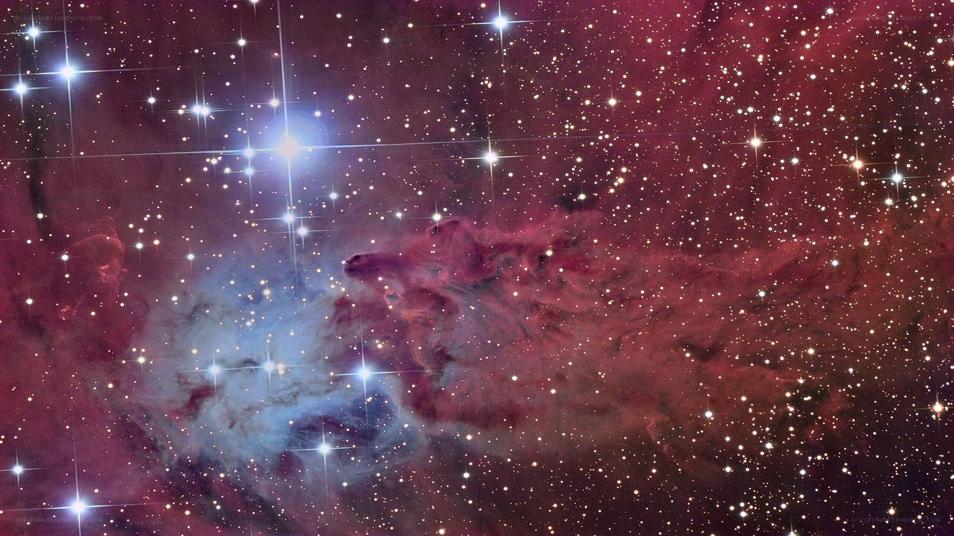 Stellar nursery in Orion