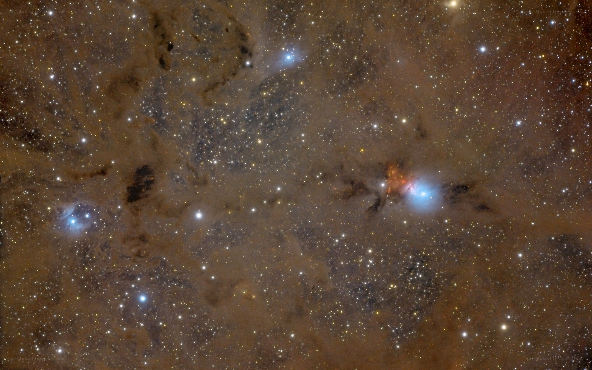 Stellar nursery in Orion