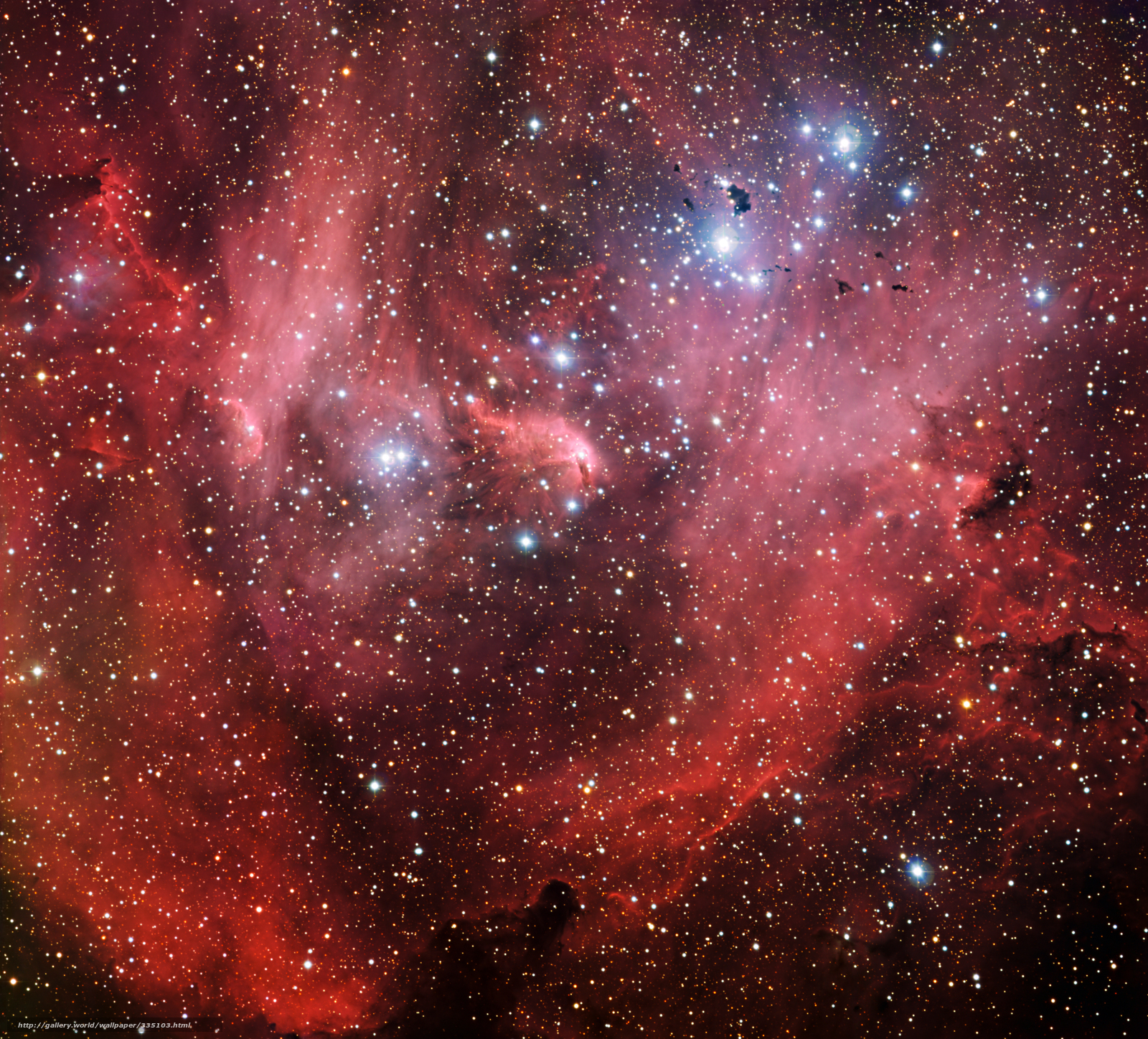 Stellar nursery in Orion