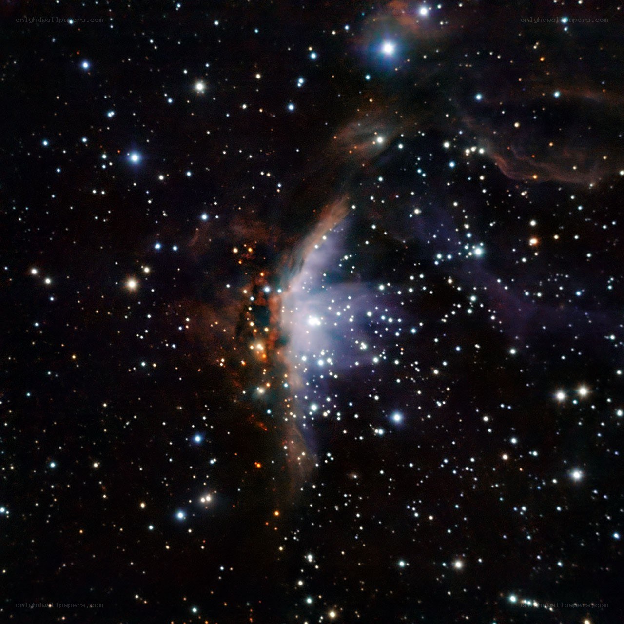 Stellar nursery in space