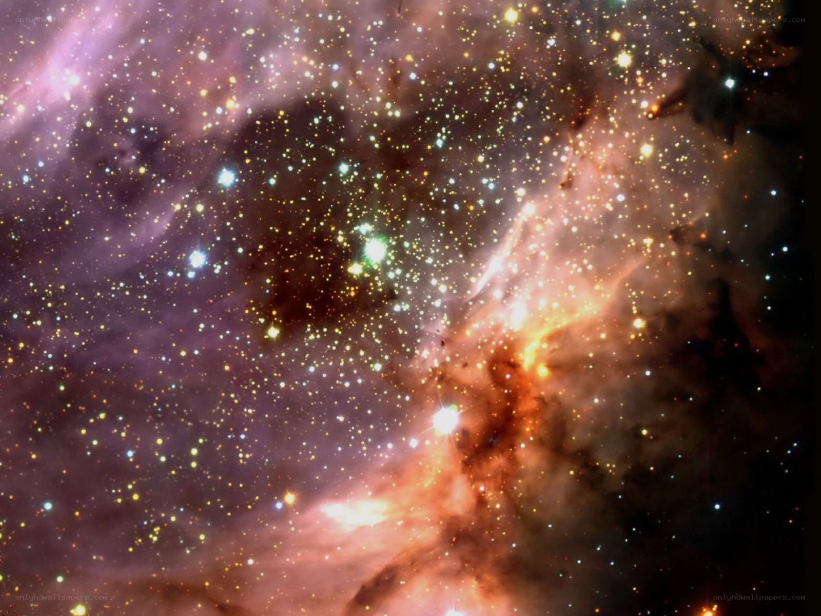 Stellar nursery in space