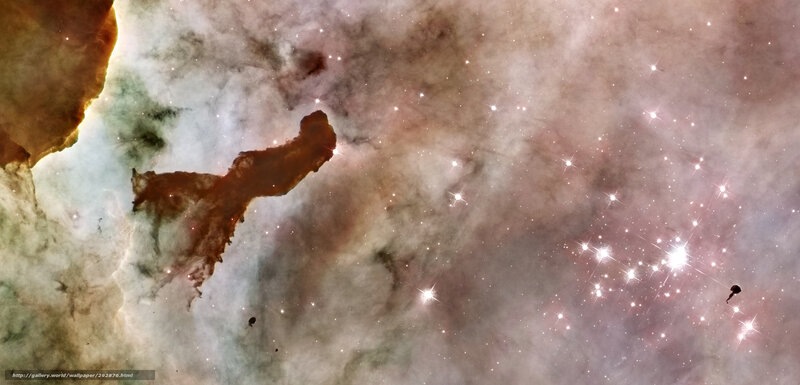Stellar Nursery in Space — Brown, Cosmic
