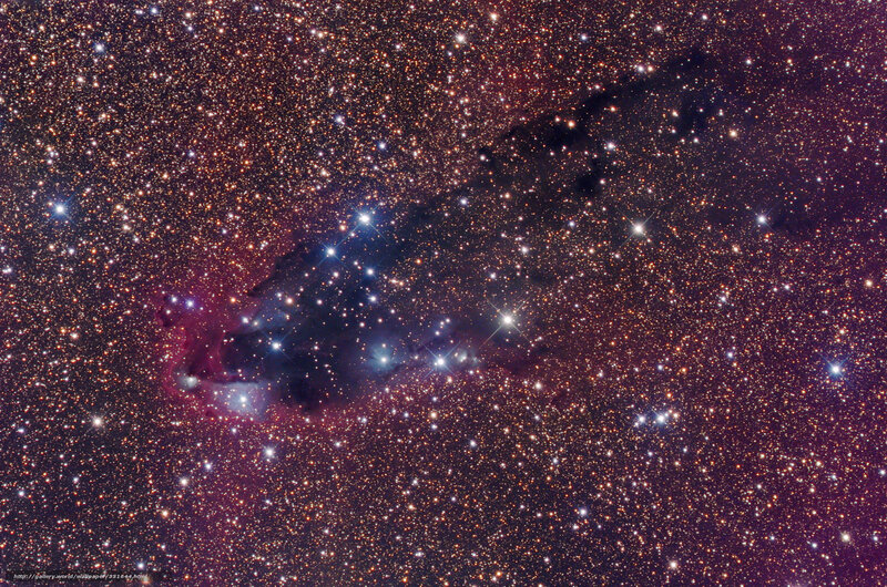 Stellar Nursery in Space — Purple, Cosmic