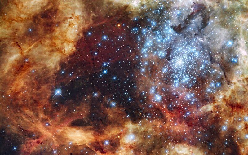 Stellar nursery in the Carina Nebula