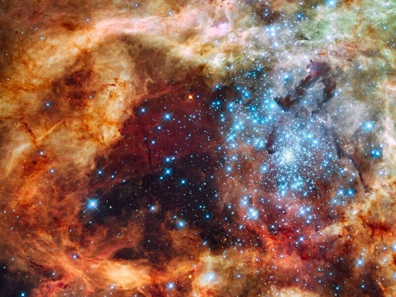 Stellar nursery in the Carina Nebula