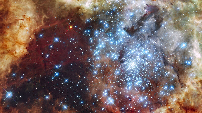 Stellar nursery in the Carina Nebula