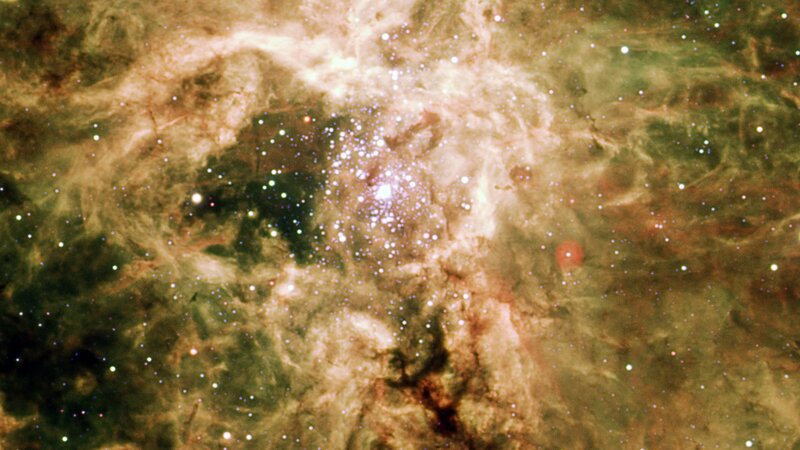Stellar nursery in the Milky Way