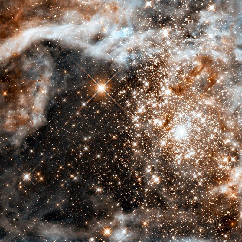 Stellar nursery in the Milky Way