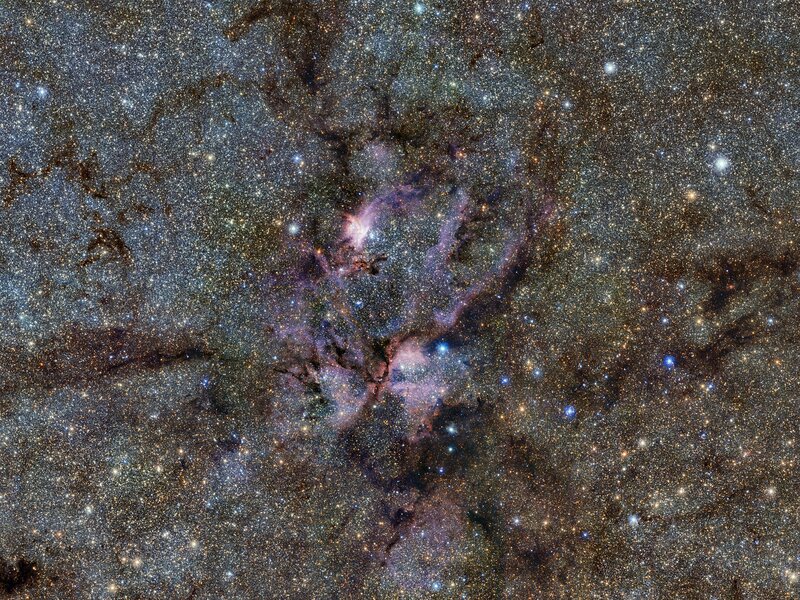 Stellar nursery in the Milky Way