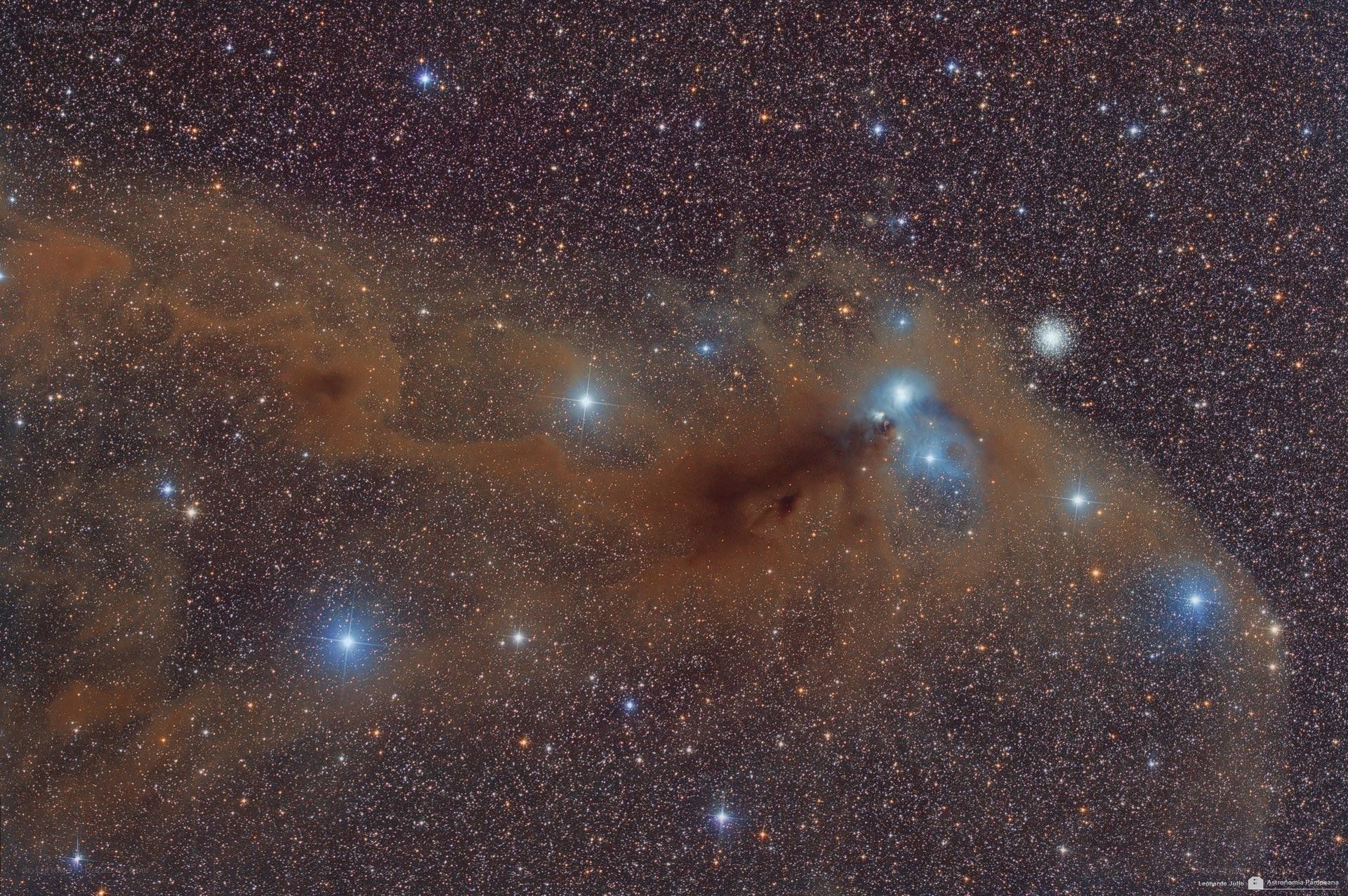 Stellar nursery in the sky