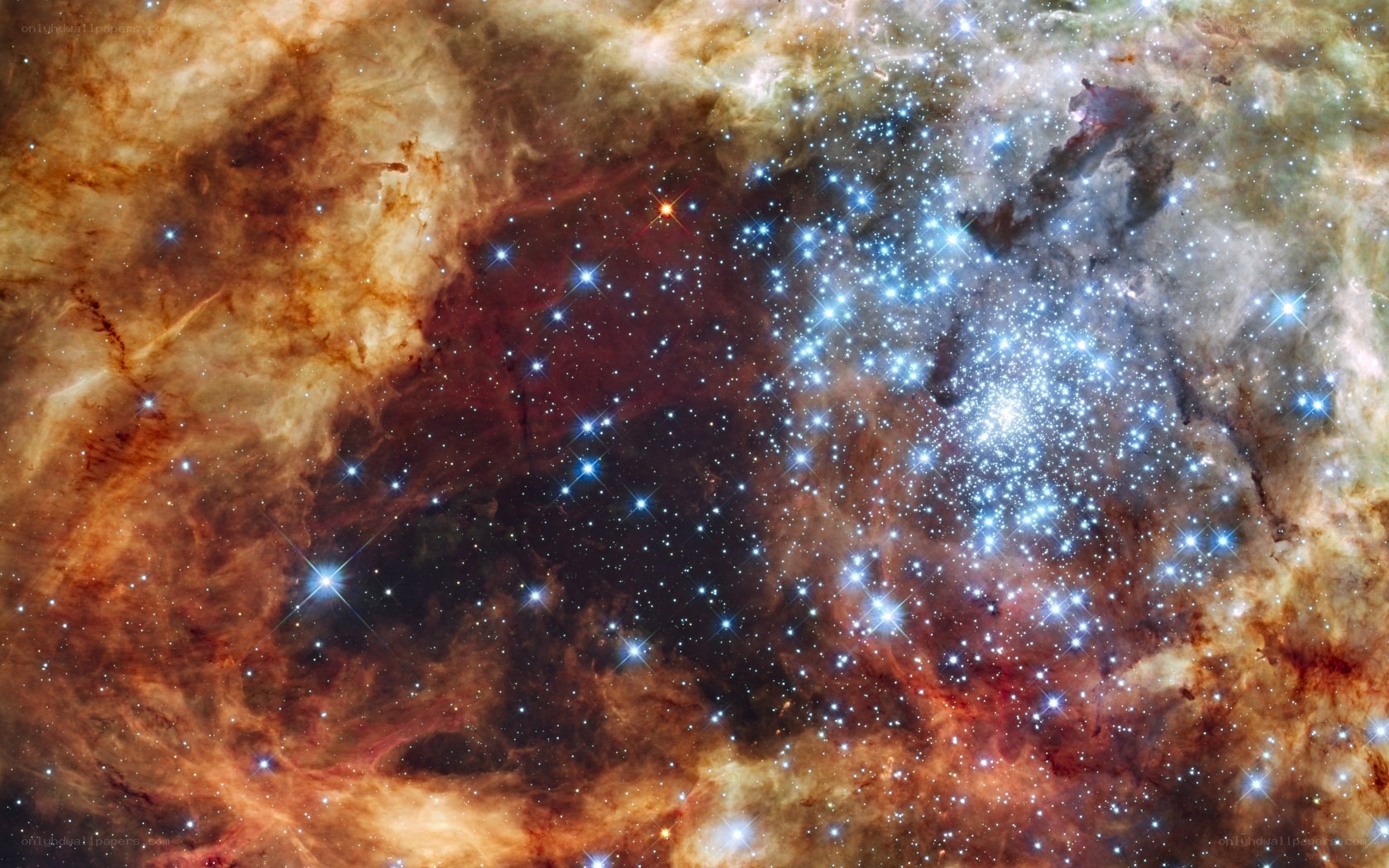 Stellar nursery in the Tarantula Nebula