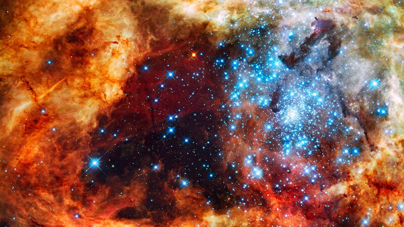 Stellar nursery in the Tarantula Nebula