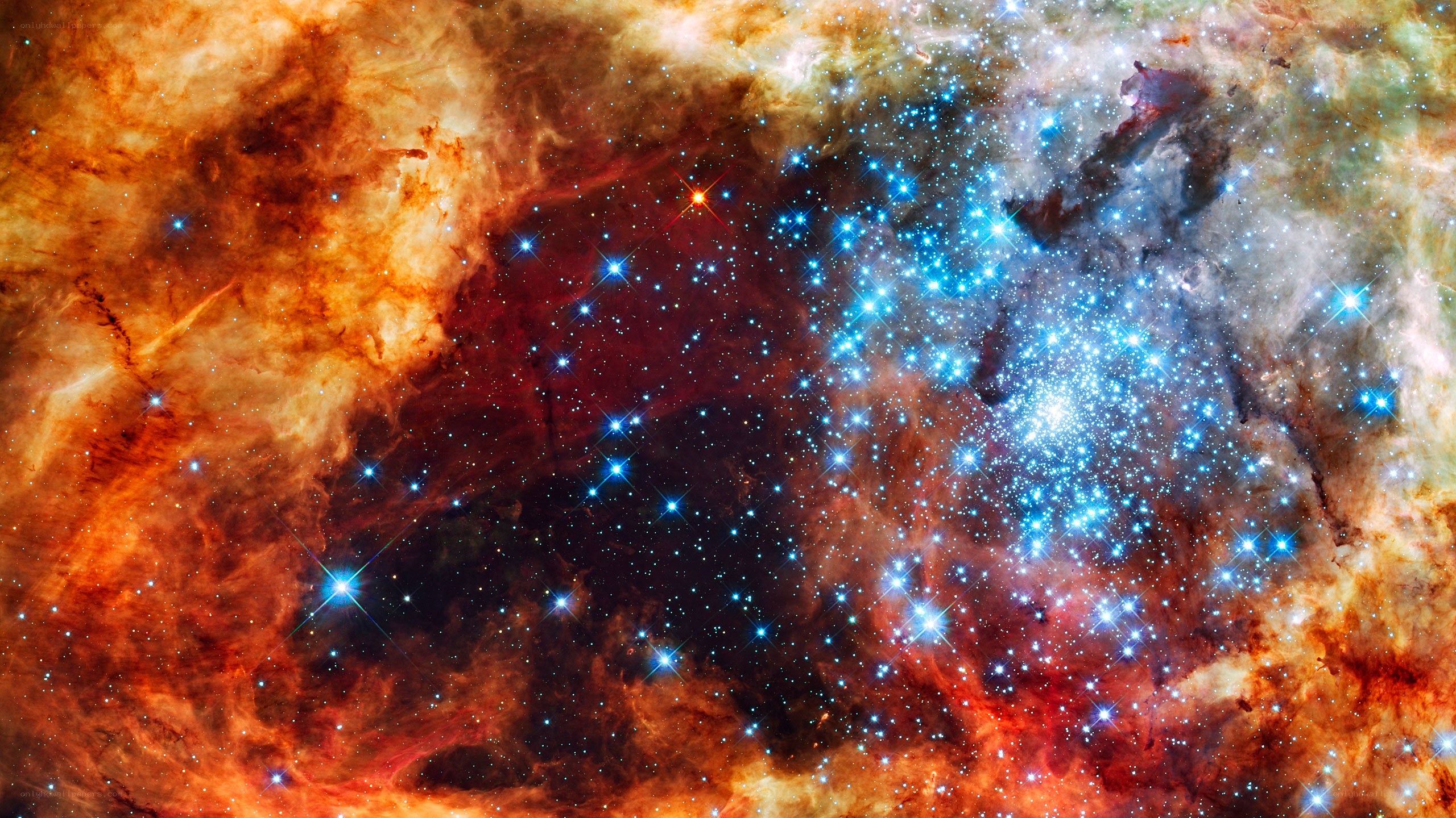 Stellar nursery in the Tarantula Nebula