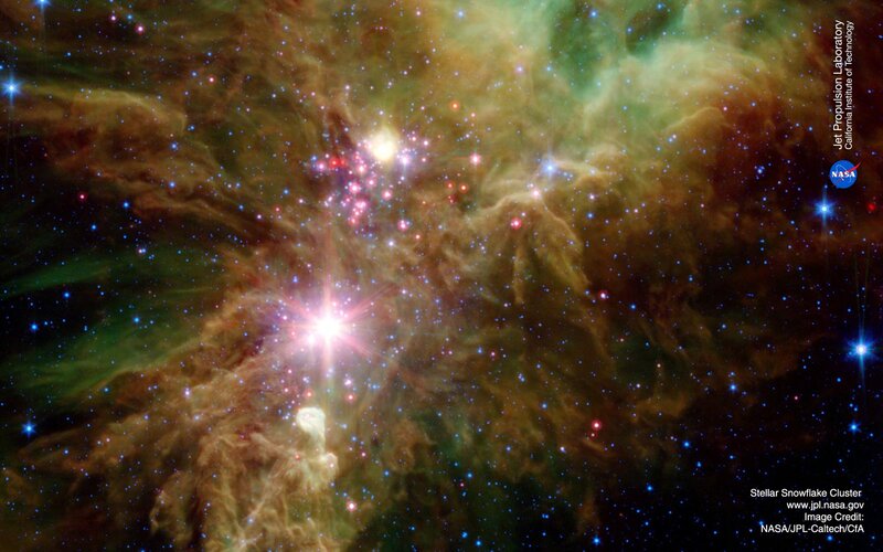 Stellar Snowflake Cluster