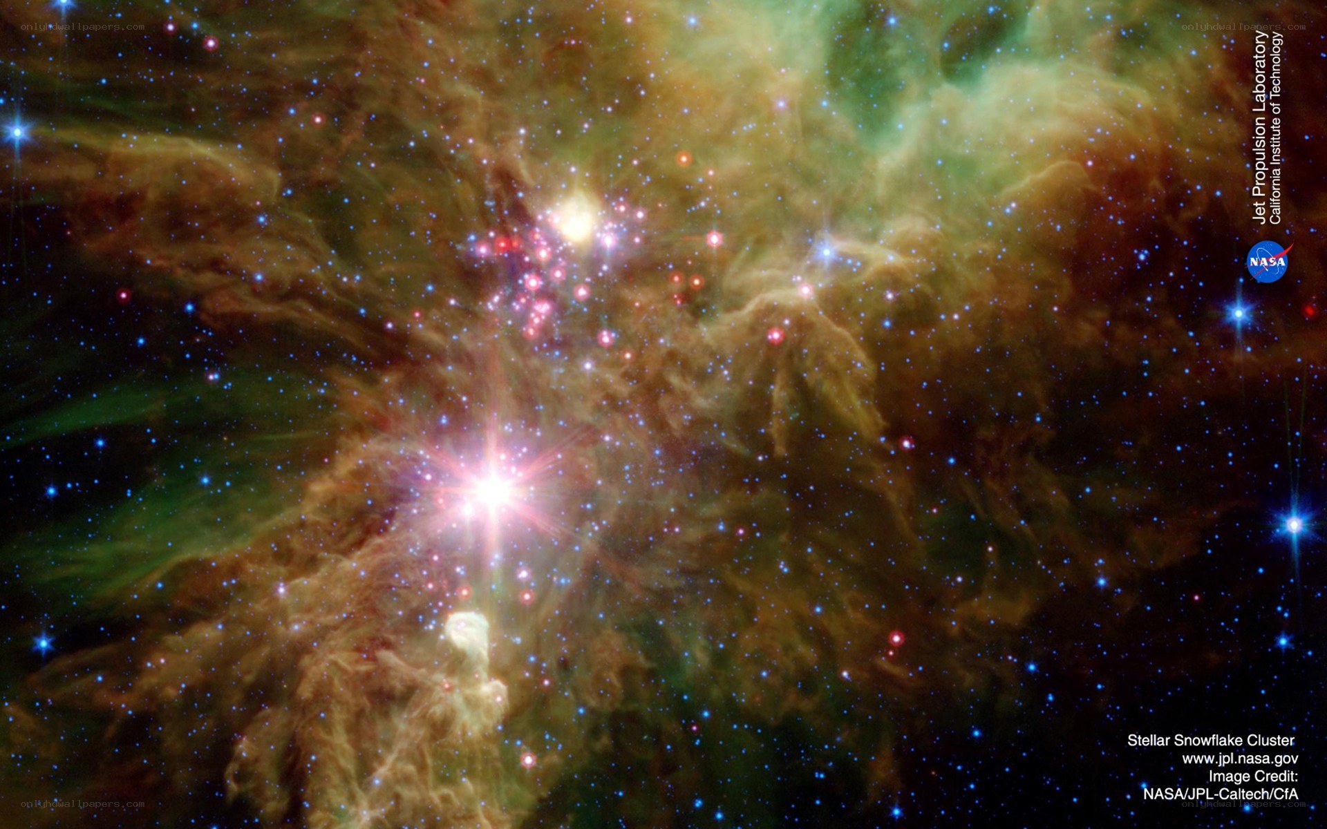 Stellar Snowflake Cluster