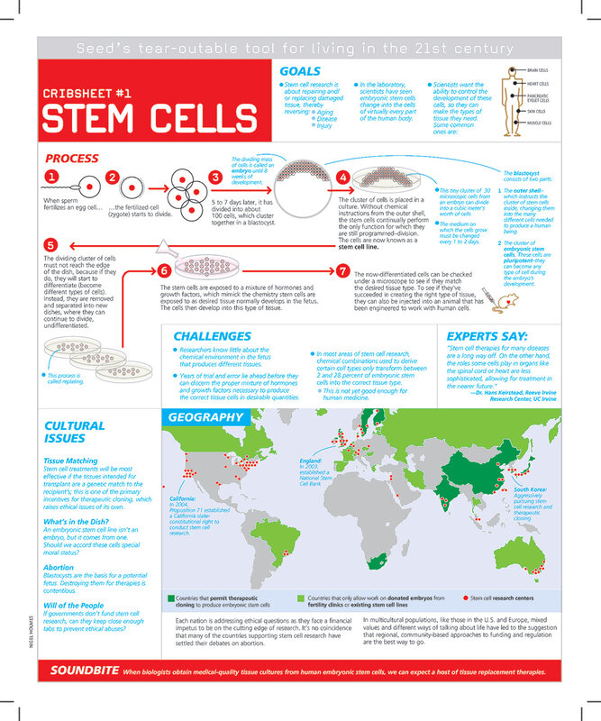 Stem Cells Crib Sheet