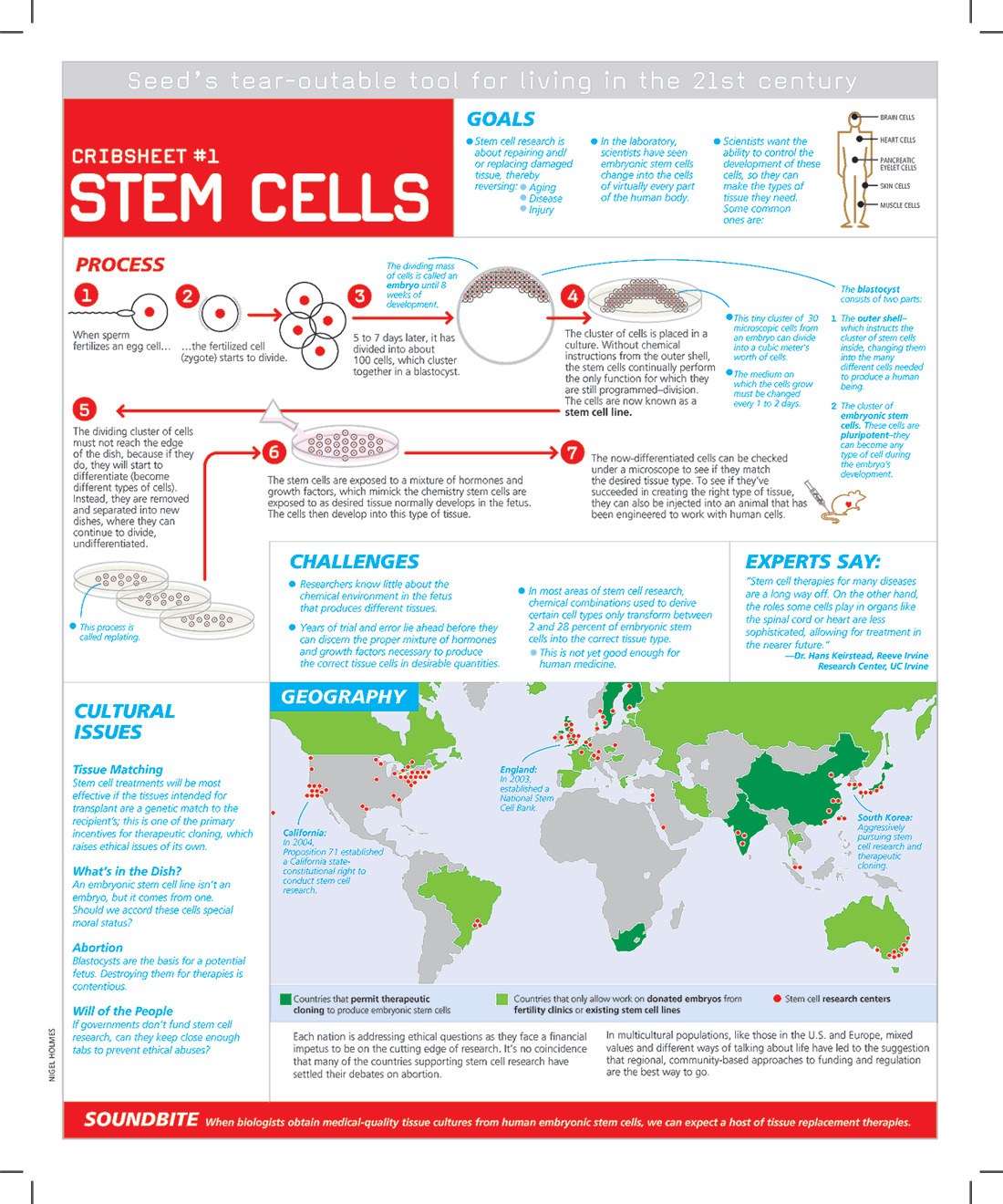 Stem Cells Crib Sheet