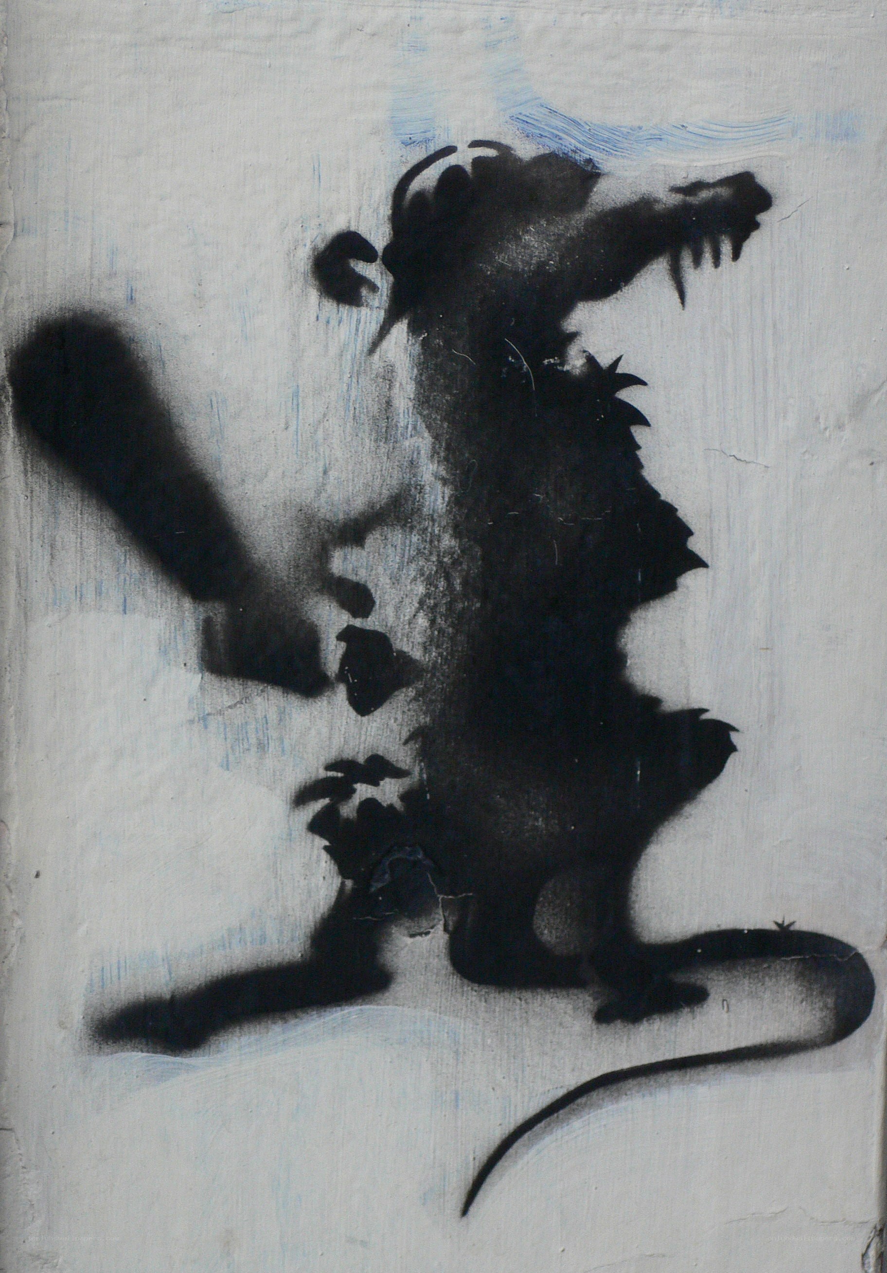 Stenciled rat graffiti art