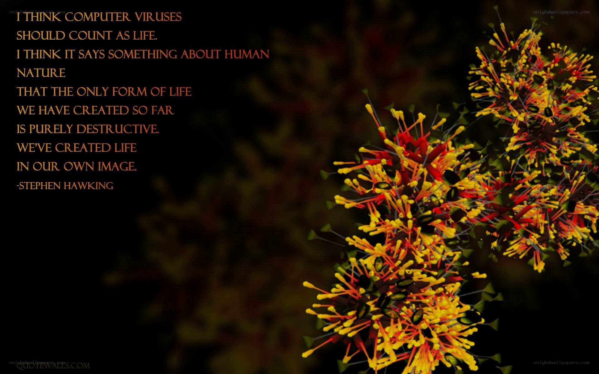 Stephen Hawking quote on computer viruses