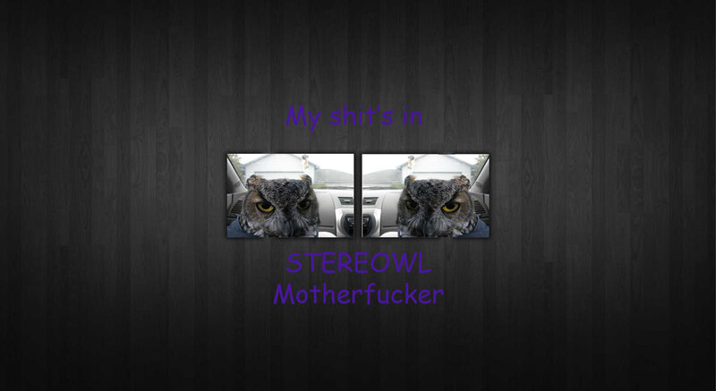 stereowl motherfucker
