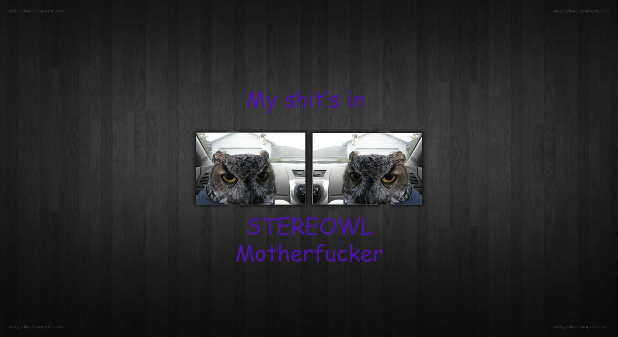 stereowl motherfucker