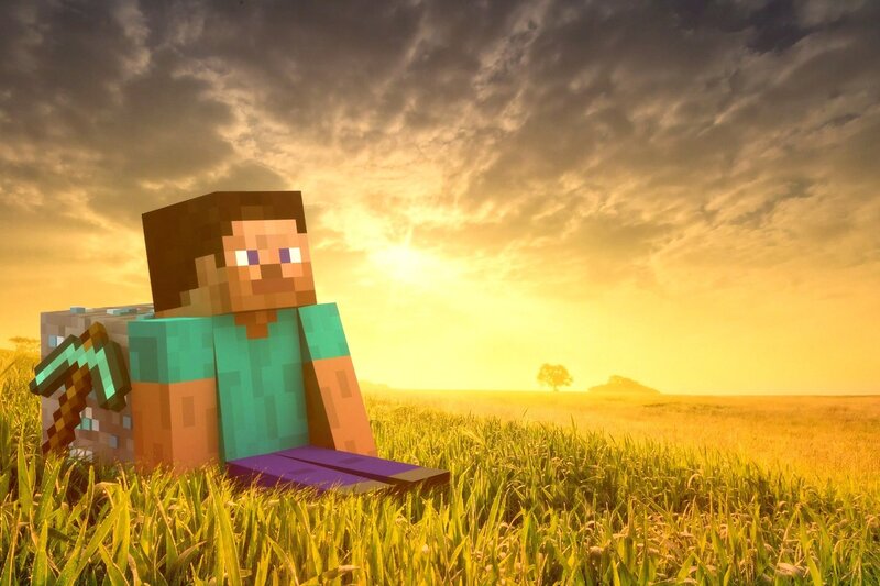 Steve in a Field