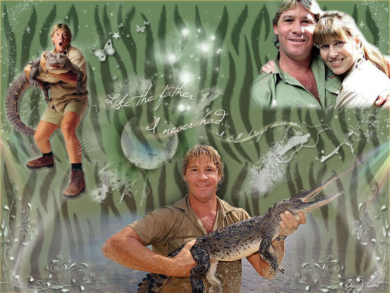 Steve Irwin collage tribute
