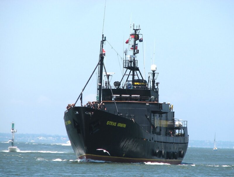 Steve Irwin ship at sea