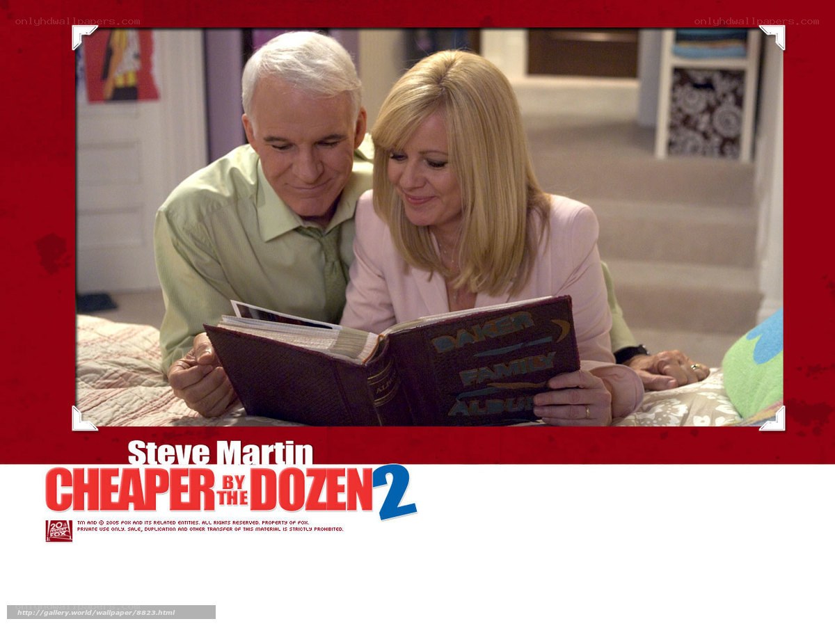 Steve Martin in Cheaper by the Dozen 2