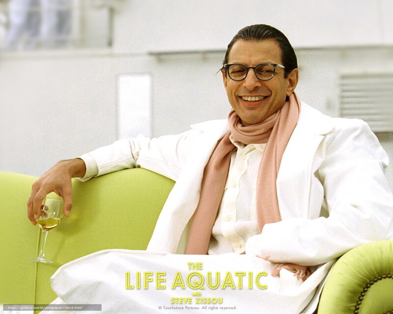 Steve Zissou in The Life Aquatic