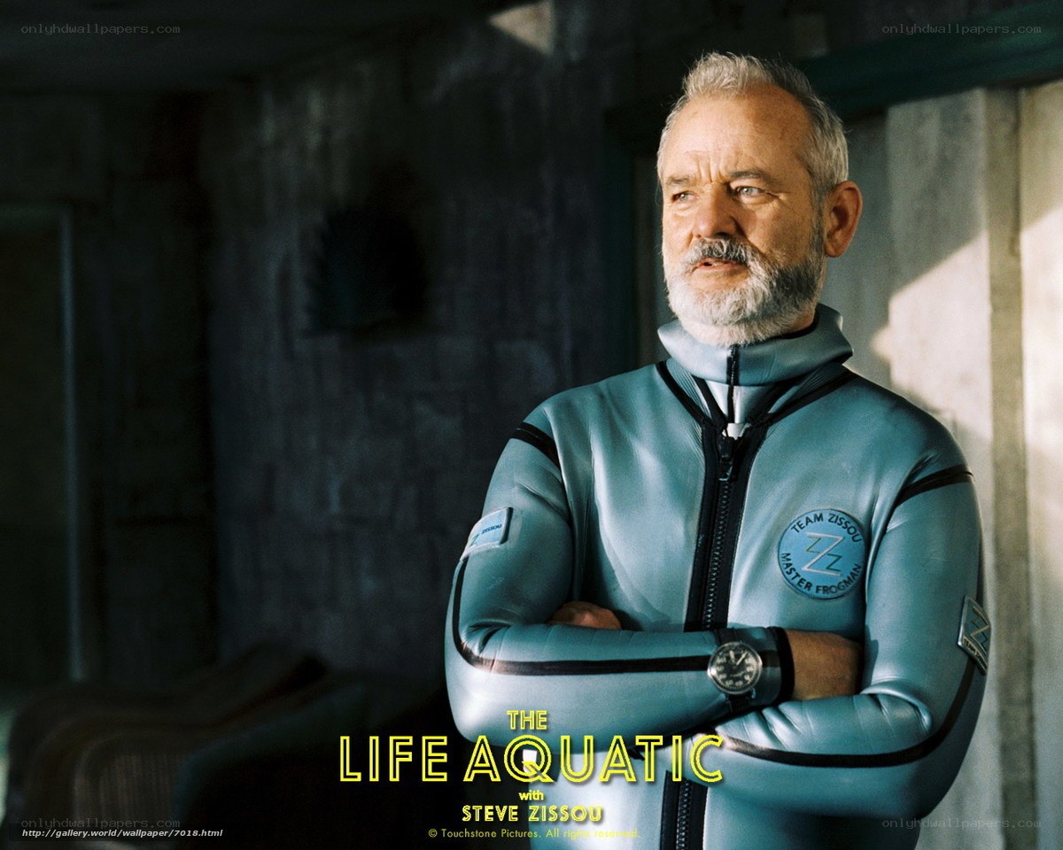 Steve Zissou in wetsuit