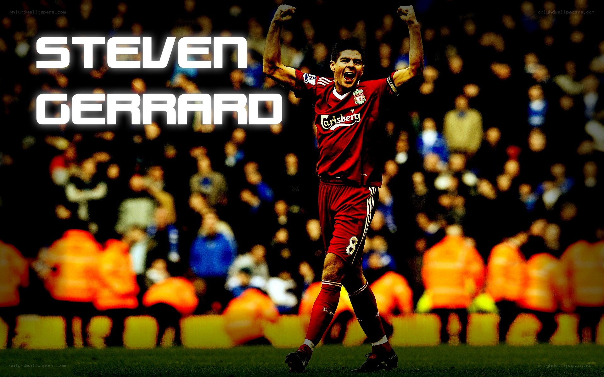 Steven Gerrard celebrating