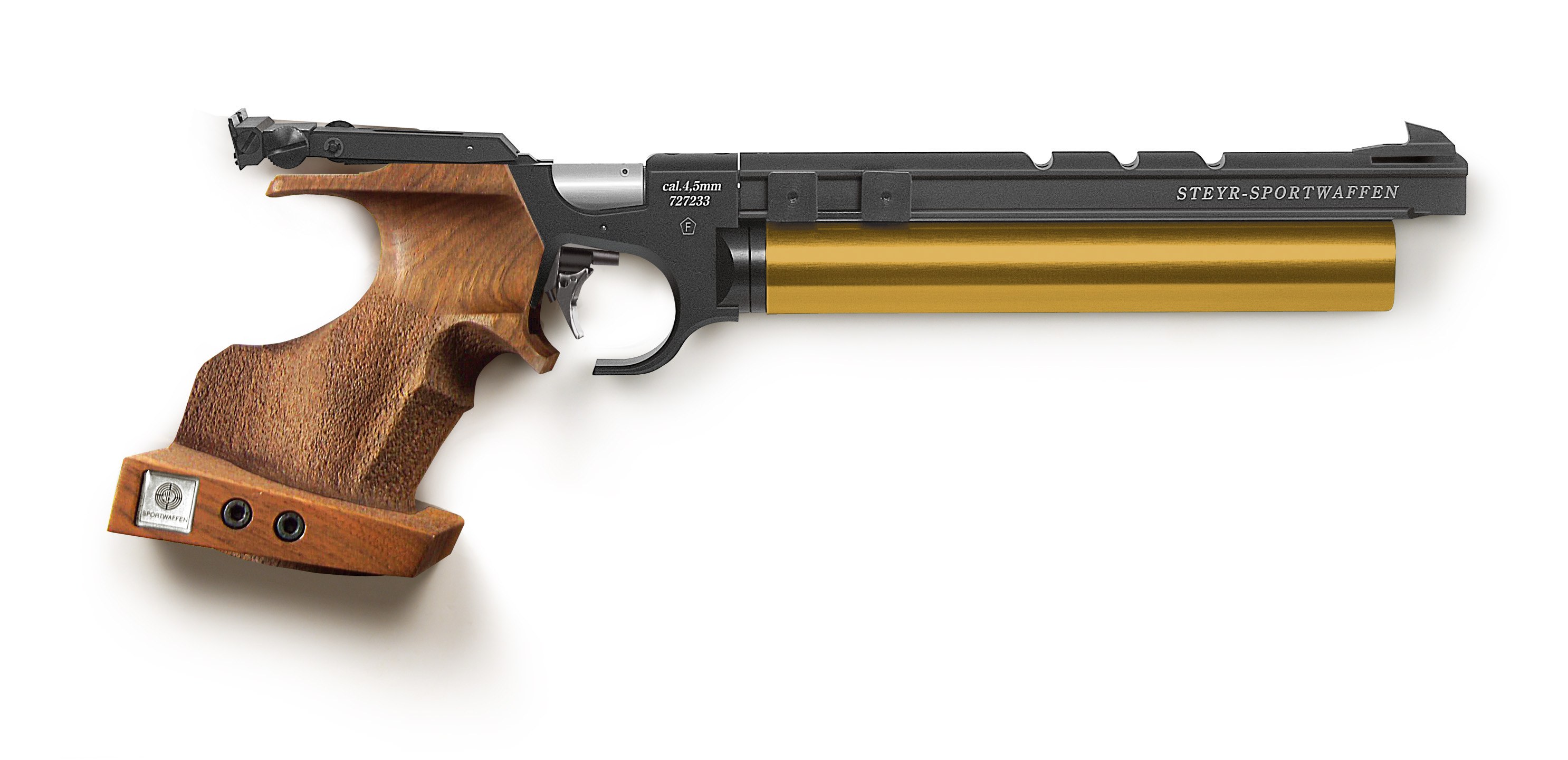 Steyr Sportwaffen pistol