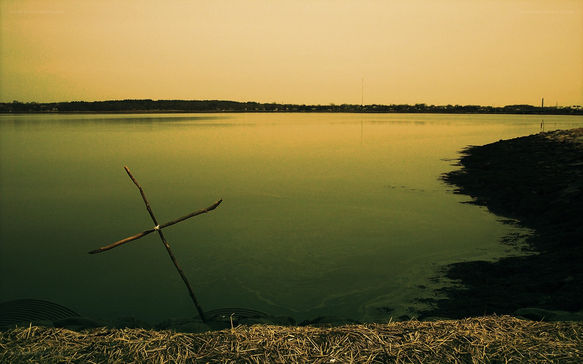 Stick cross by the water