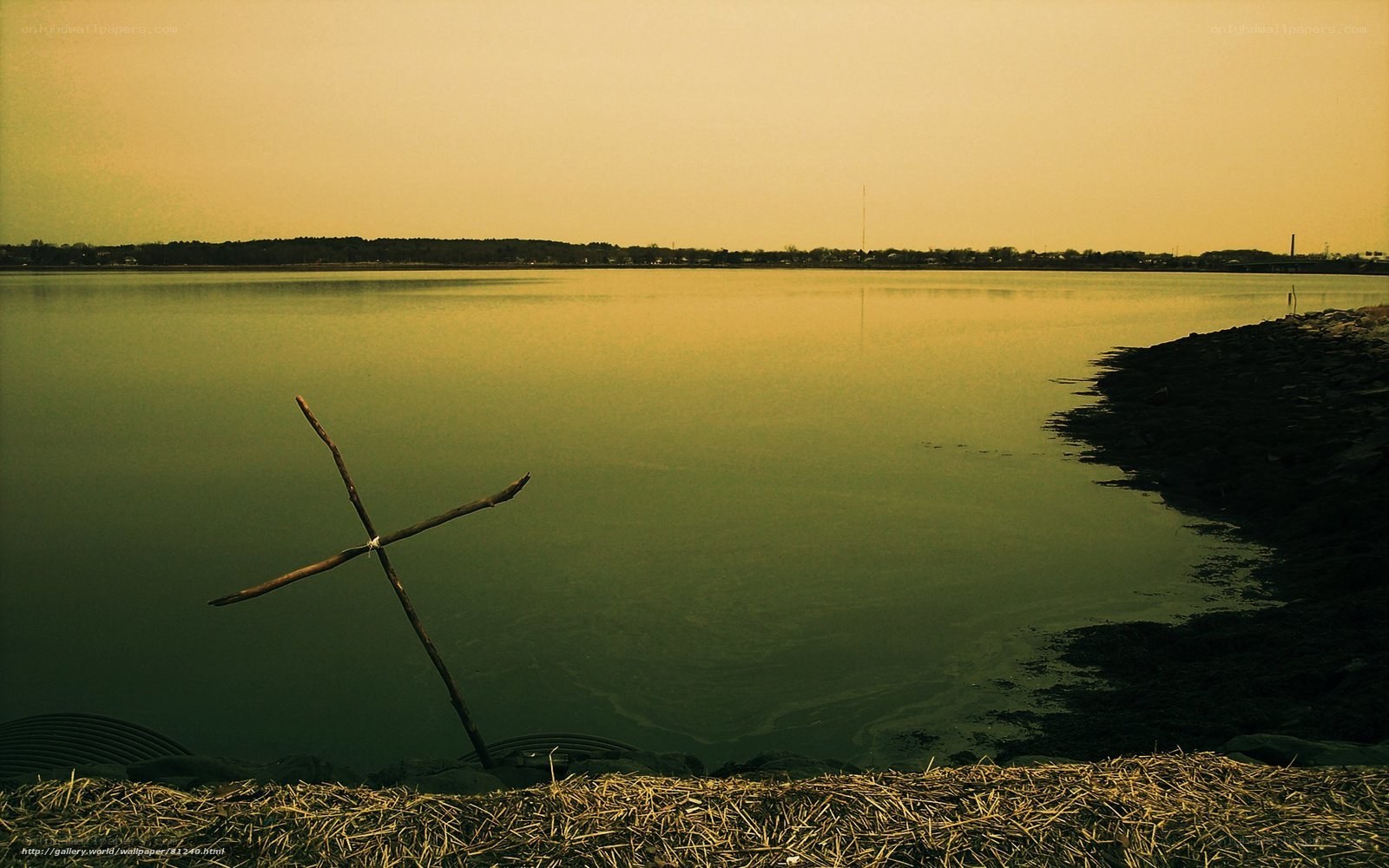 Stick cross by the water