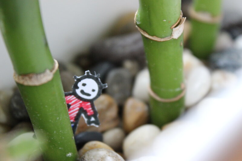 Stick Figure in Bamboo Pot
