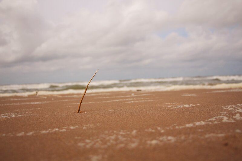 Stick in Sand on Beach