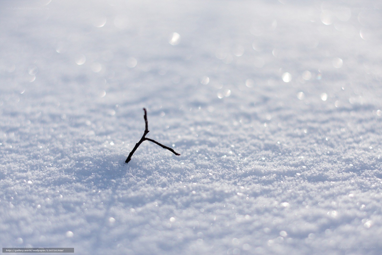 Stick in the snow