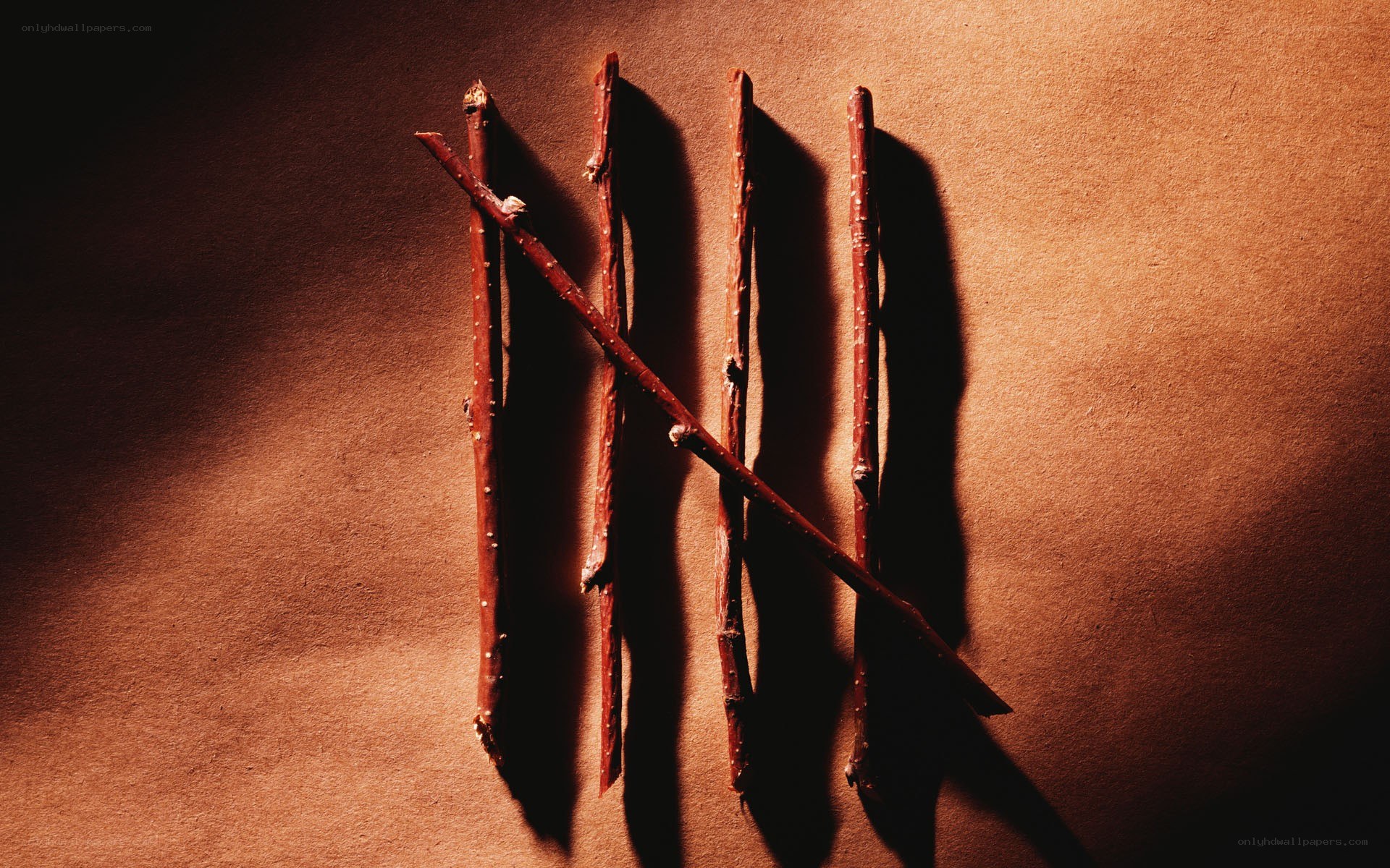 sticks arranged as tally marks