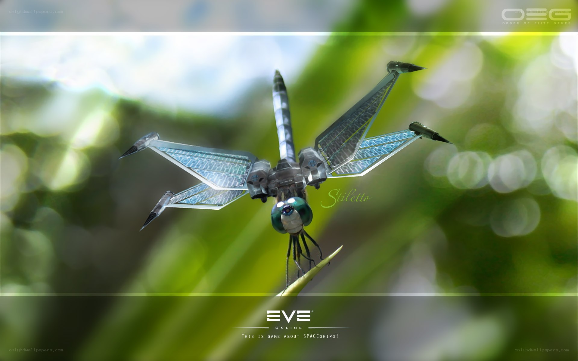 Stiletto drone dragonfly