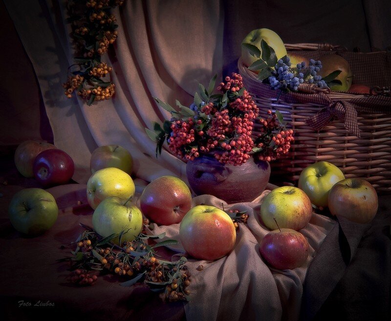 Still life with apples and berries