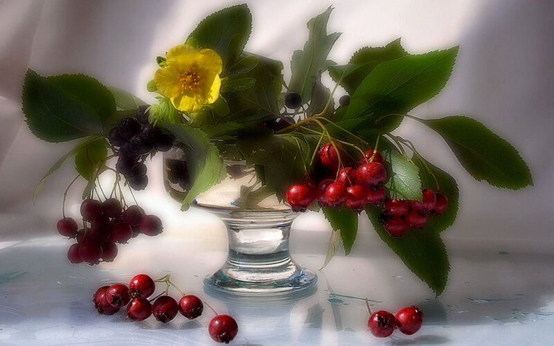 Still life with berries and flower